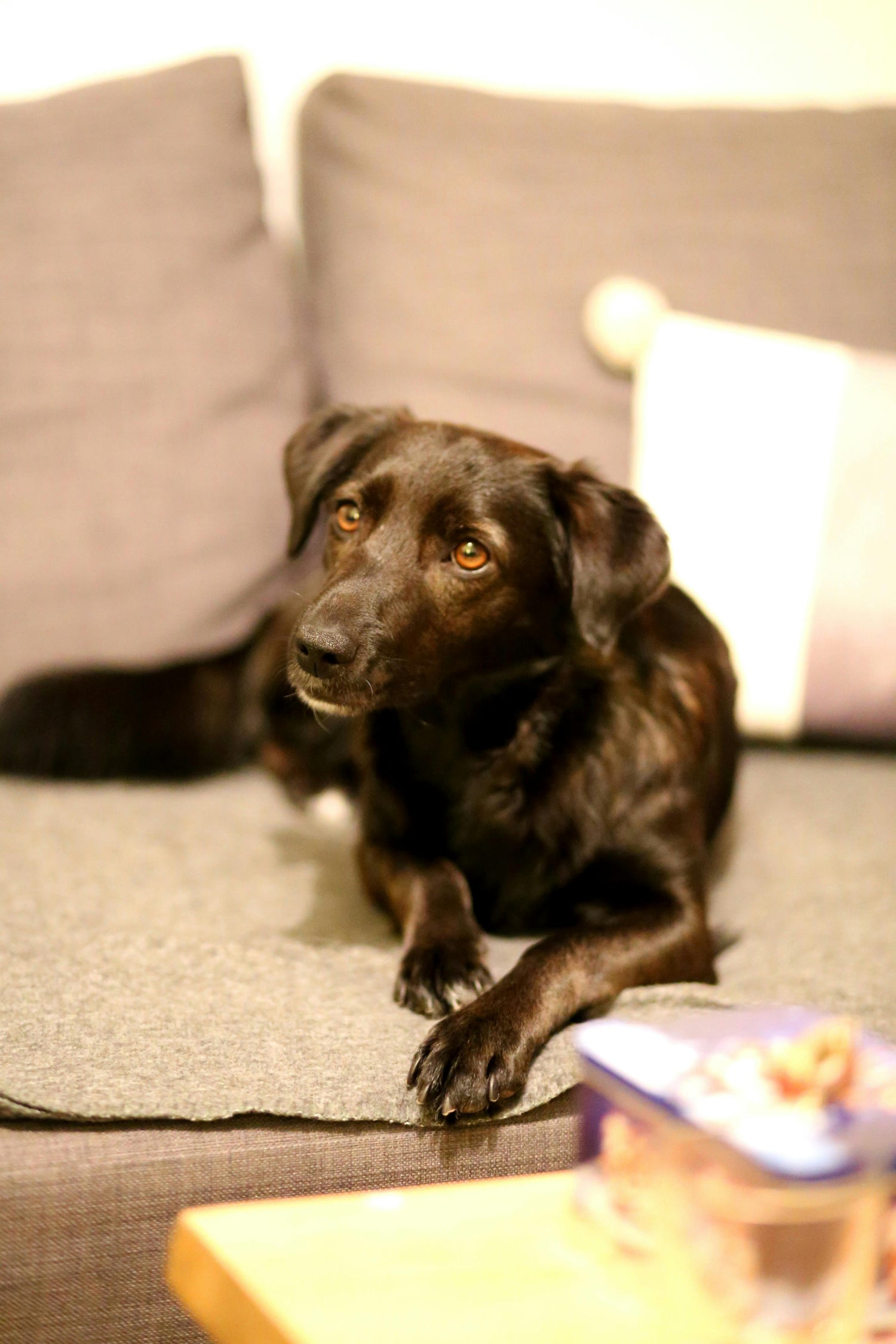 LOQUI - Home Collection 2025