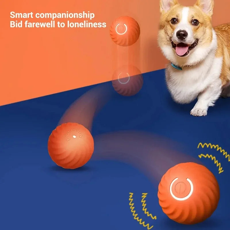 LOQUI DOG PLAYS