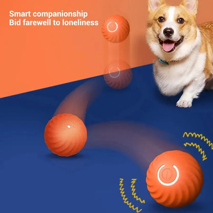 LOQUI DOG PLAYS